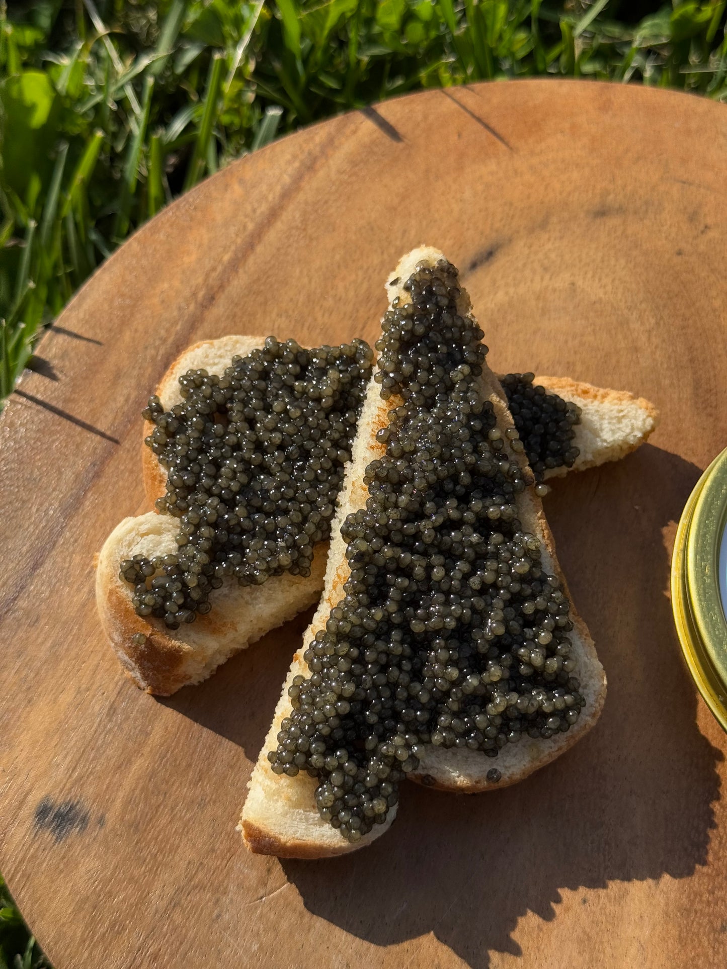 Black Caviar Wild Catch Paddlefish 100g (3.5oz)