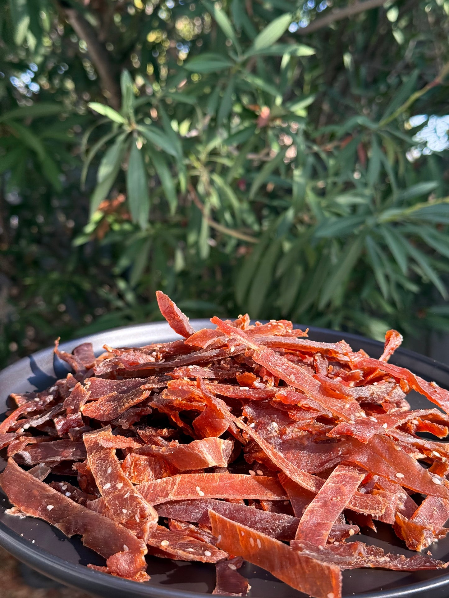 Salty Tuna Fish Jerky (Джерки из Тунца) 5.5oz / 150g