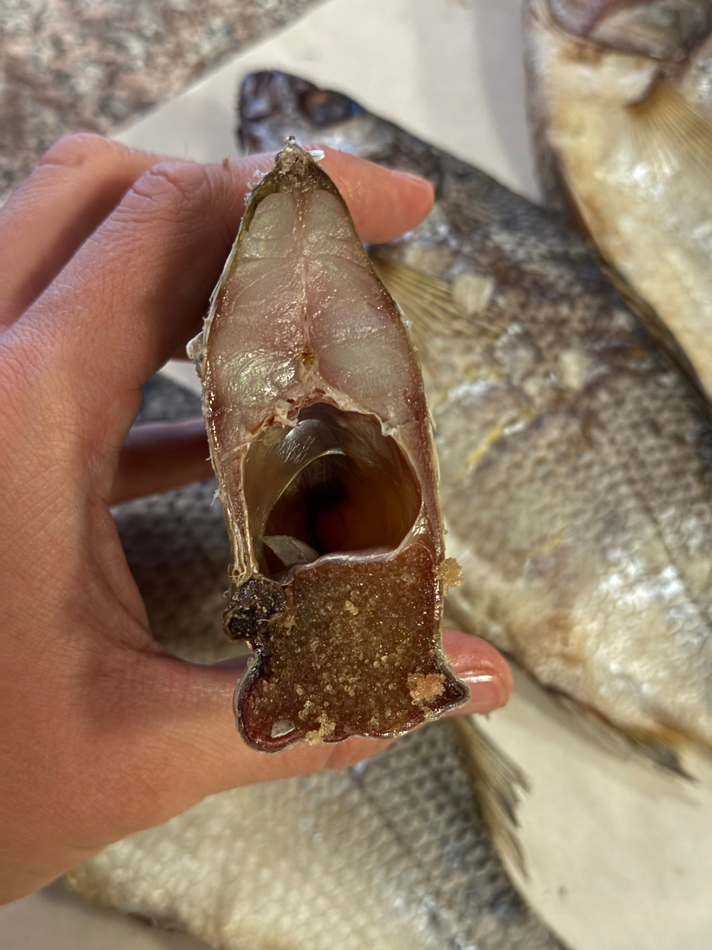 Dried White Bass (Вяленый Белый Окунь) 150-220g (1pc)