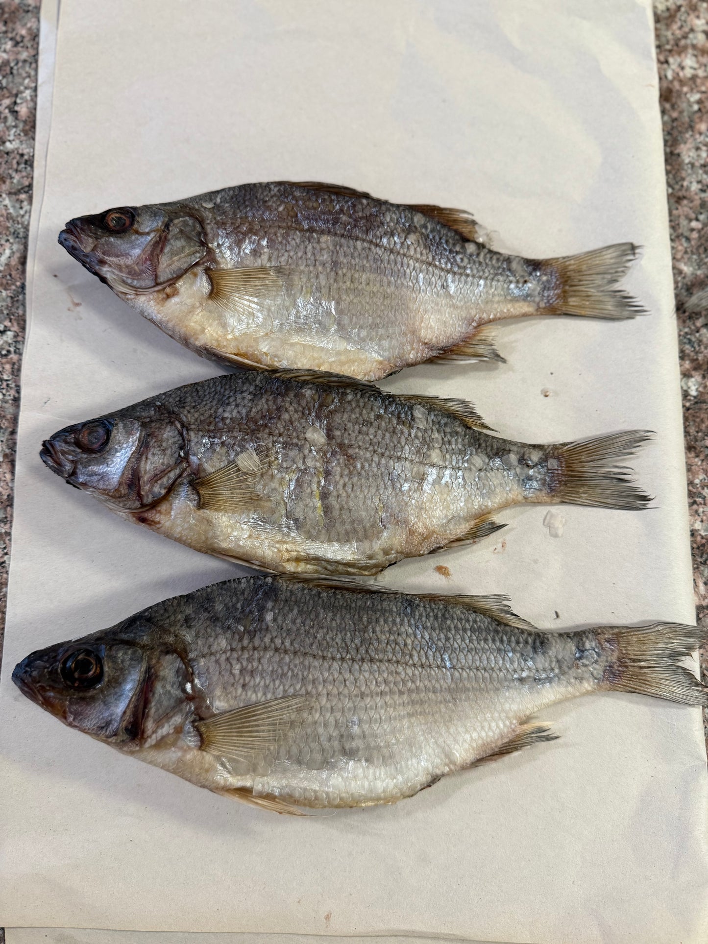 Dried White Bass (Вяленый Белый Окунь) 150-220g (1pc)