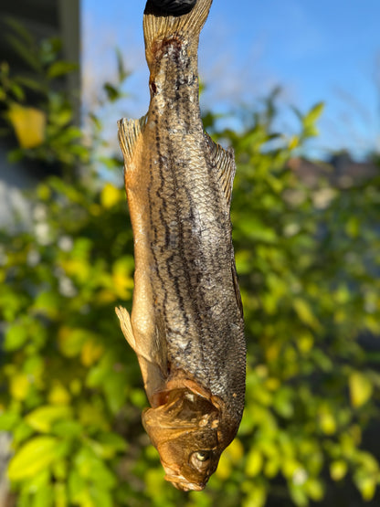 Dried Striped Bass (Вяленый Окунь)