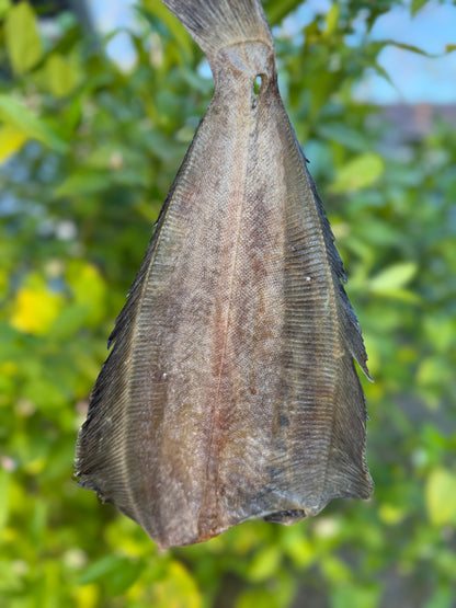 Dried Dover Sole (Kambala)