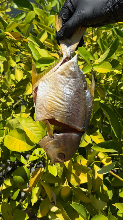 Cold-Smoked Pompano (whole) 0.8-1lb