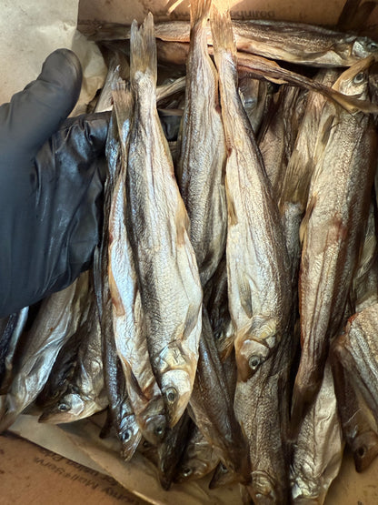 Dried Smelt XL (Вяленая Корюшка) 1lb