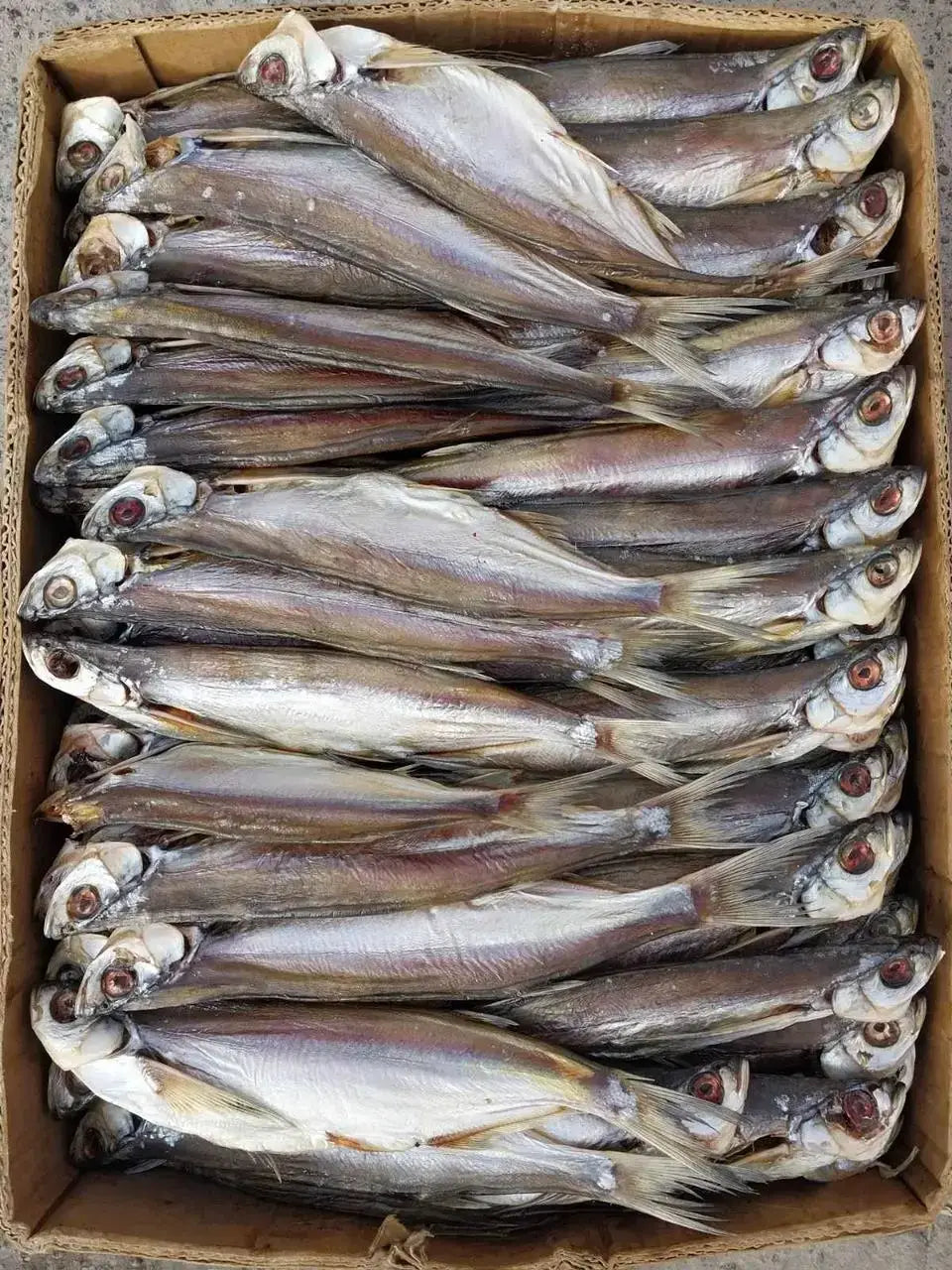 Dried Sabrefish (Chekhon)