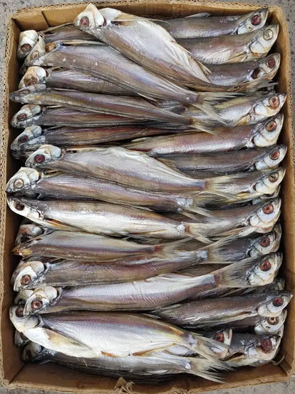 Dried Sabrefish (Chekhon)
