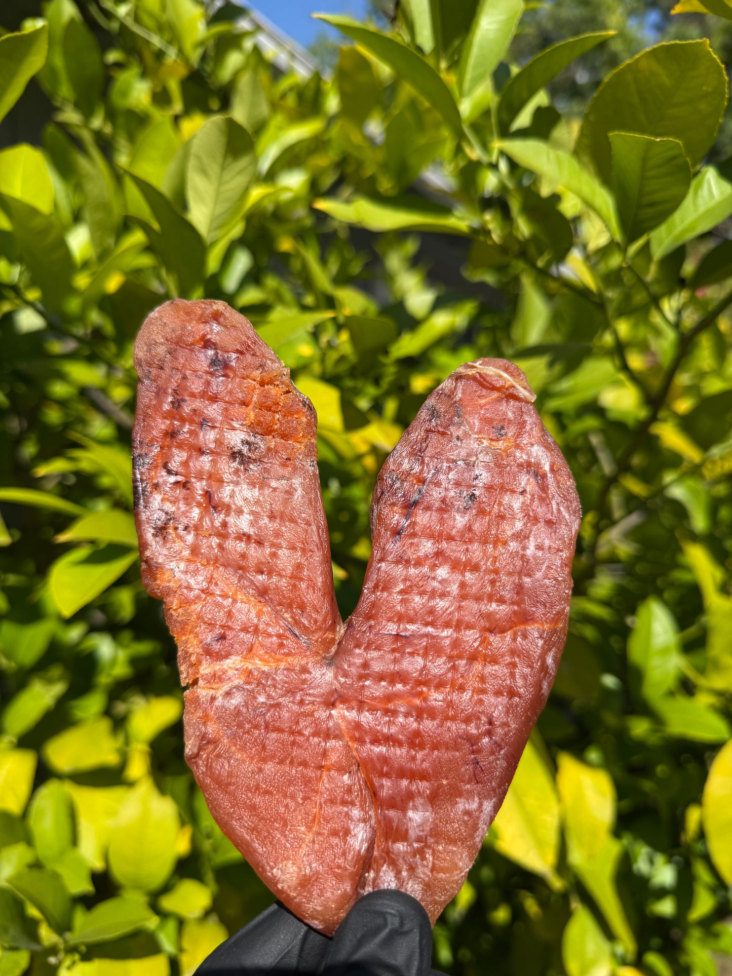 Cod Roe in Roe Sac (Икра Трески в Ястыке)
