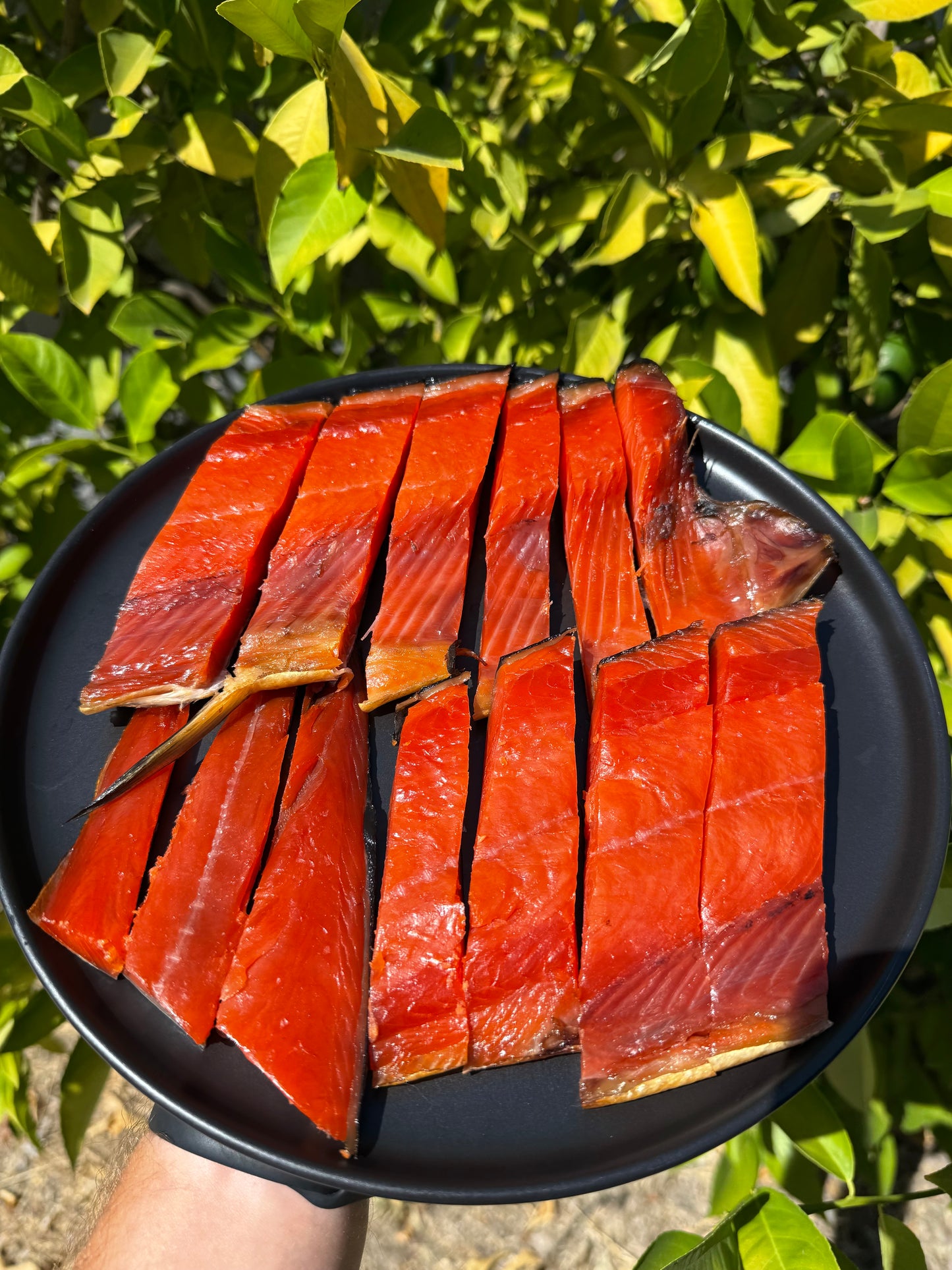 Wild Alaskan Sockeye Salmon Fillet