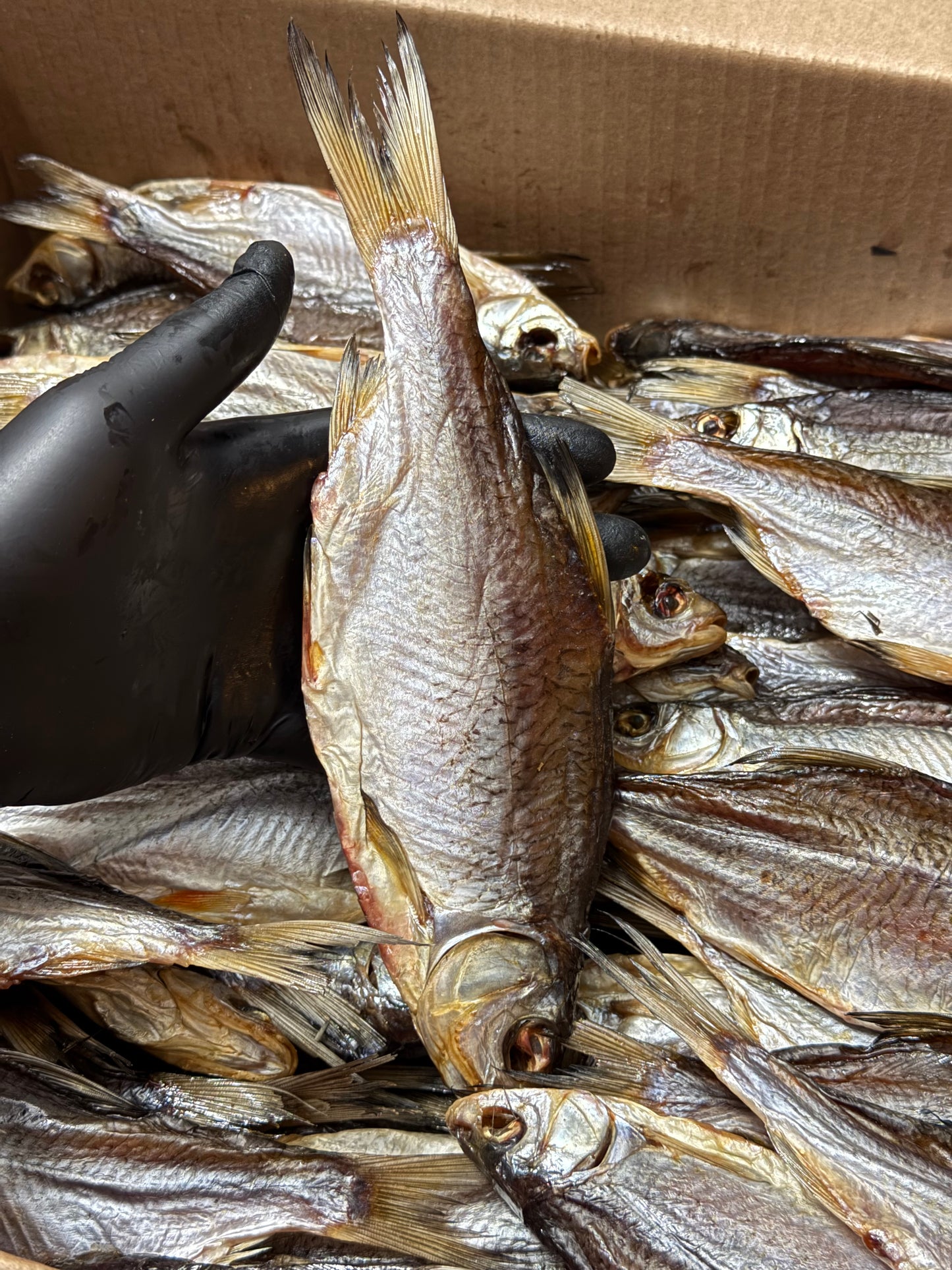 Dried Young Taran with Caviar 100%