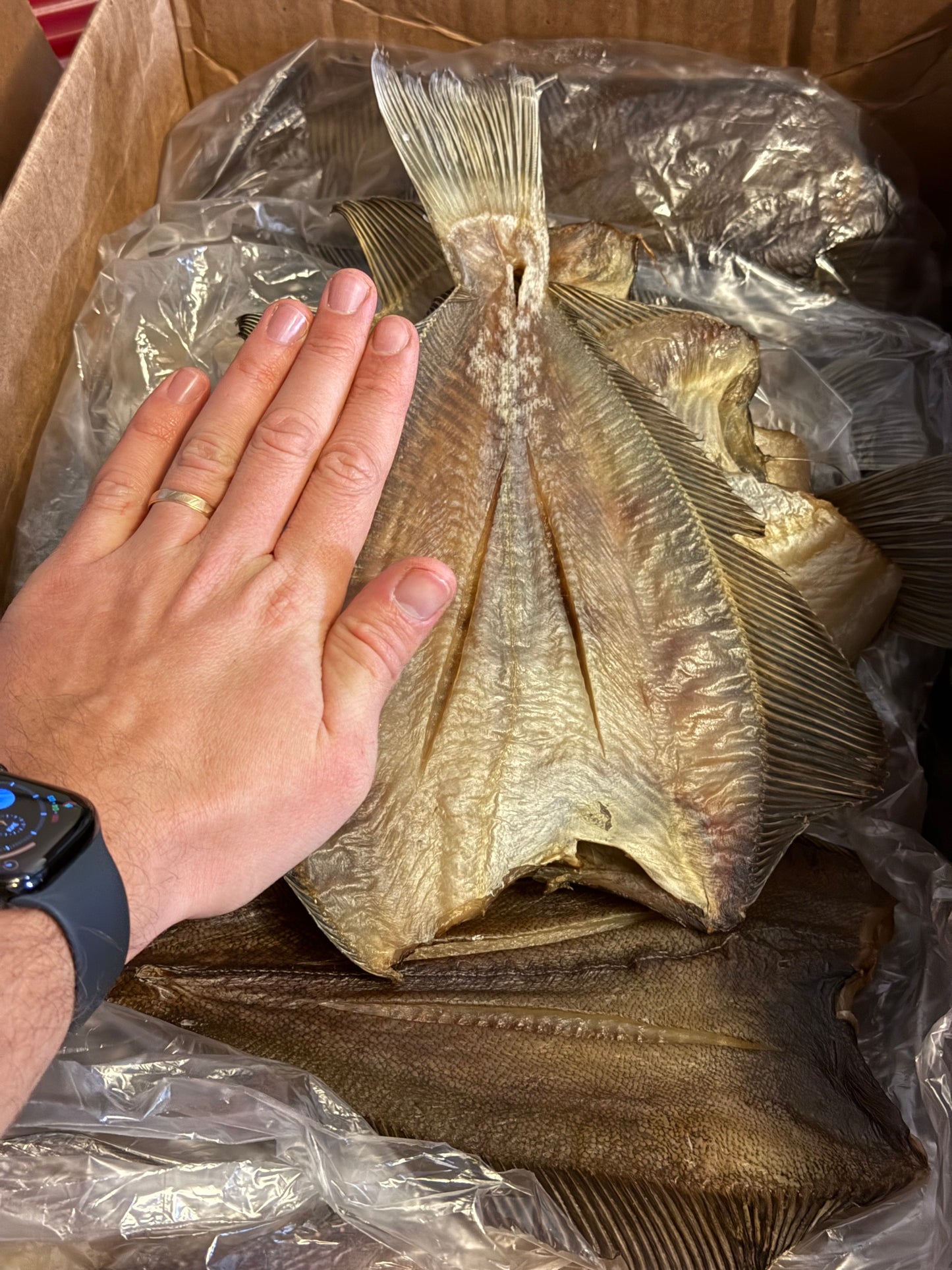 Dried Flounder (Kambala)