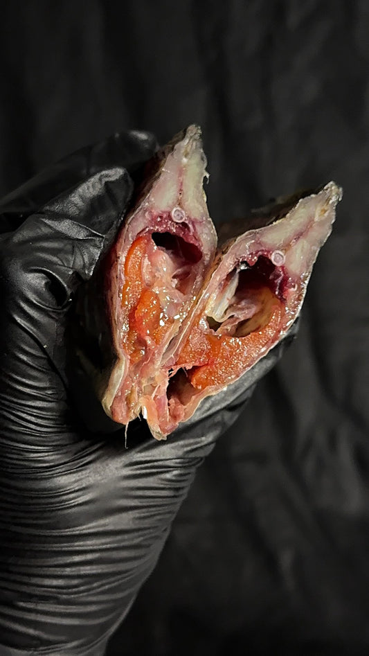 Dried Young Taran with Caviar 100%