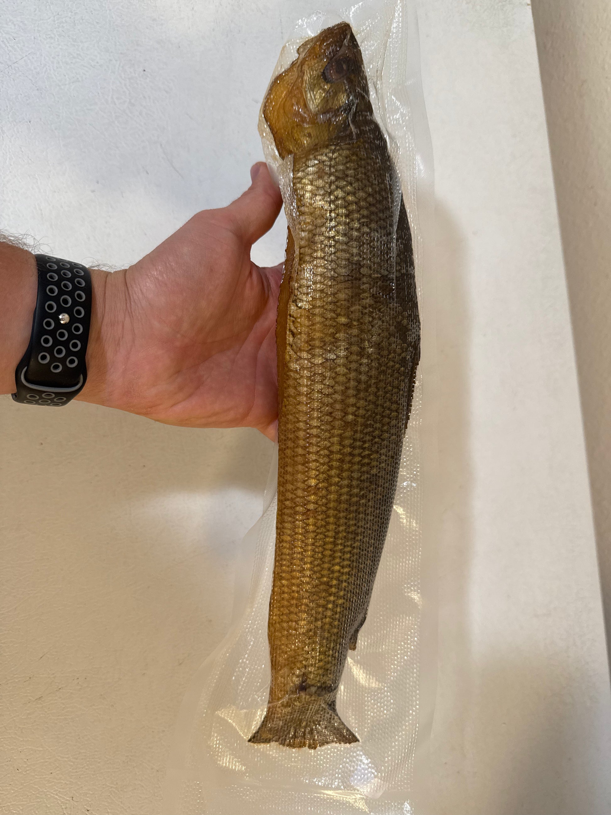 Cold Smoked Muksun (Муксун холодного копчения) - Fish.Snacks.USA