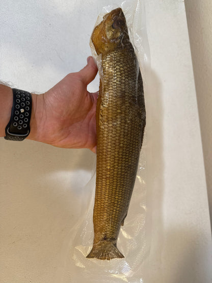 Cold Smoked Muksun (Муксун холодного копчения) - Fish.Snacks.USA