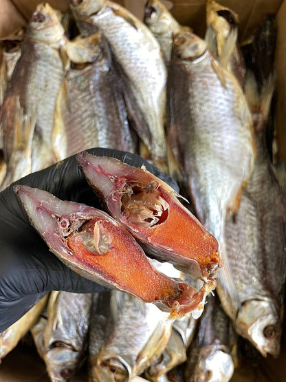 Dried Taran Large with caviar (Вяленая Тарань с икрой 100%) 1pc 345g +- - Fish.Snacks.USA