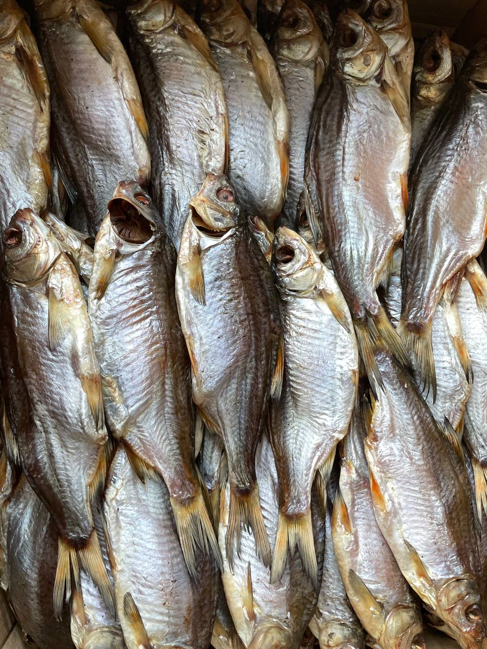 Dried Taran Large with caviar (Вяленая Тарань с икрой 100%) 1pc 345g +- - Fish.Snacks.USA