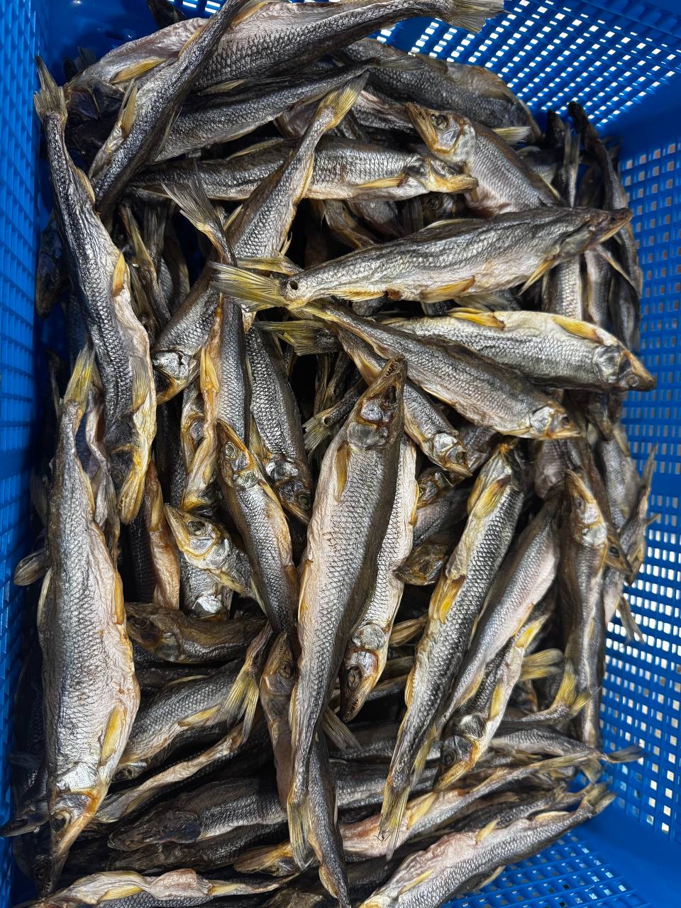 Dried Smelt (Корюшка Дальневосточная вялено-сушеная) - Fish.Snacks.USA