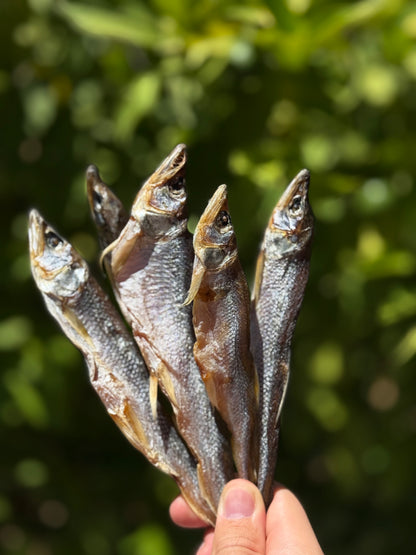 Dried Smelt (Корюшка Дальневосточная вялено-сушеная) - Fish.Snacks.USA