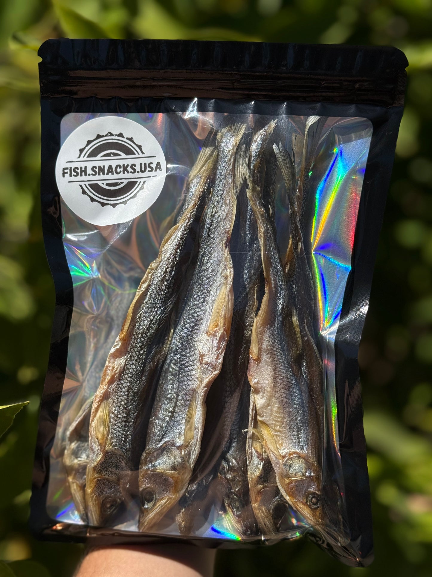 Dried Smelt (Корюшка Дальневосточная вялено-сушеная) - Fish.Snacks.USA