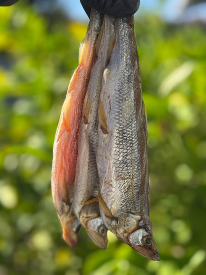 Dried Smelt with Roe (Корюшка Дальневосточная с икрой)