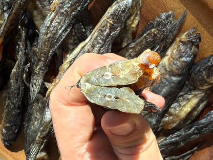 Dried Goby with Roe (Вяленые Бычки с икрой) 500g (1.1lb)