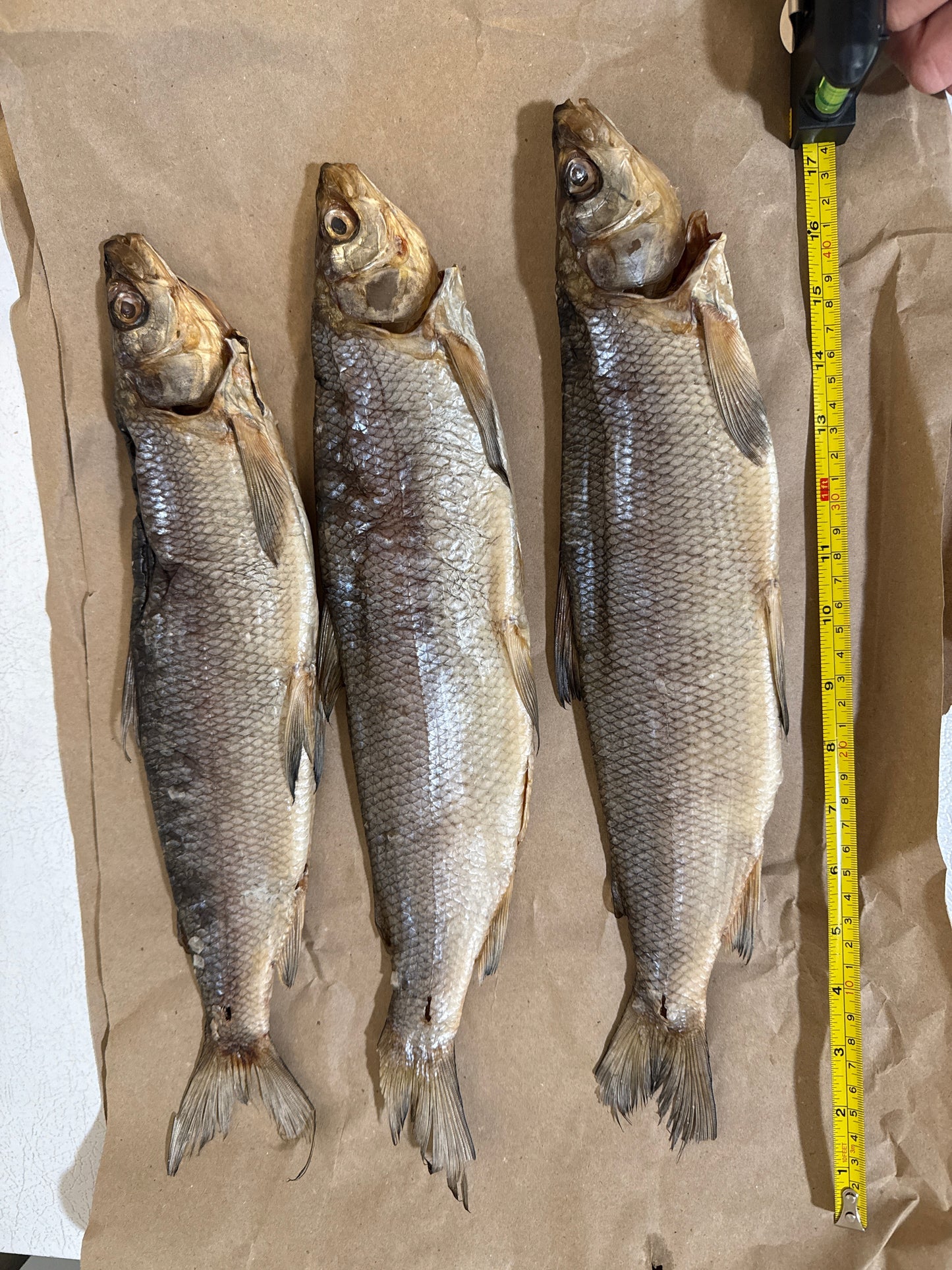 Dried WhiteFish (Сиг вяленый - сушеный) - Fish.Snacks.USA