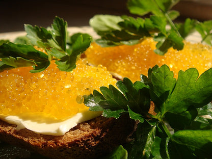Wild Pike Roe 1lb (Дикая Икра Щуки)