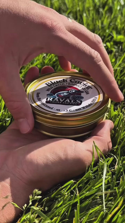 Black Caviar Wild Catch Paddlefish 100g (3.5oz)