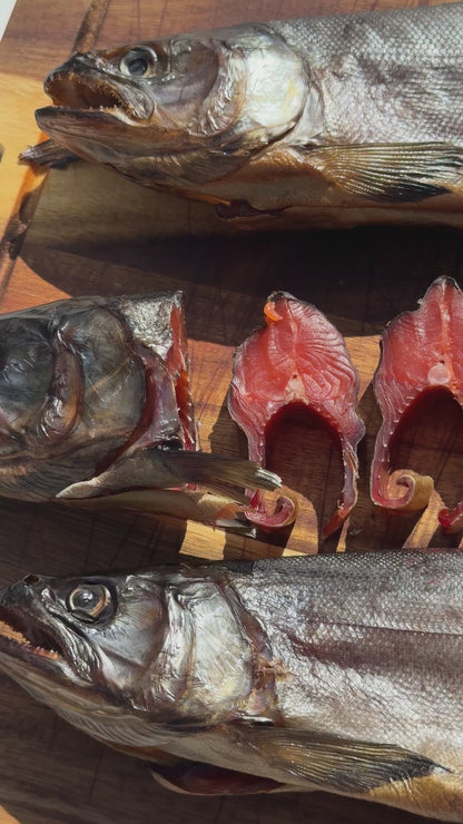 Wild Alaskan Coho Salmon – Cold Smoked