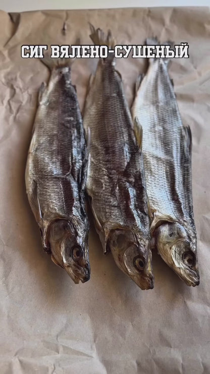 Dried WhiteFish (Сиг вяленый - сушеный)